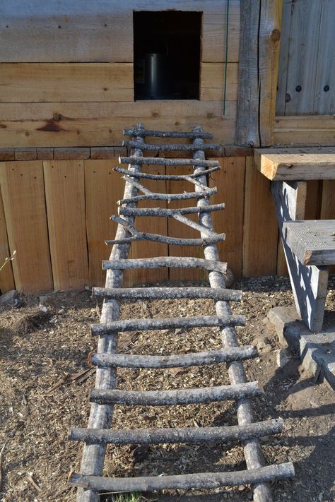 Tree Ladder, Easy Chicken Coop, Chicken Barn, Portable Chicken Coop, Chicken Pen, Coop Ideas, Chicken Coop Designs, Coop Plans, Keeping Chickens