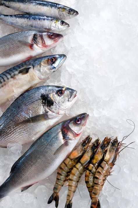 Fish Product Photography, Cod Photography Fish, Seafood On Ice Display, Seafood On Ice, Tuna Fish Photography, Seafood Restaurant Photography, Seafood Photography, Fresh Fish Market, Fresh Seafood Market