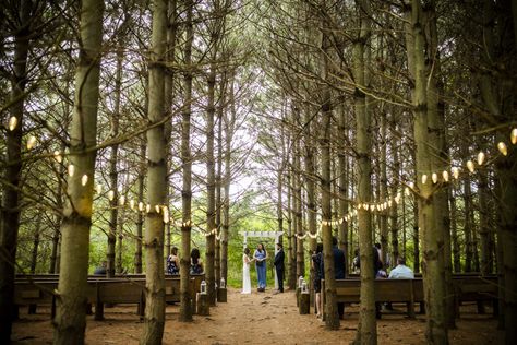 Fall Micro Wedding, Columbus Ohio Wedding Venues, Micro Wedding Venues, Wedding In Nature, Treehouse Wedding, Park Wedding Ceremony, Fall Wedding Venues, Orchard House, Ohio Wedding Venues