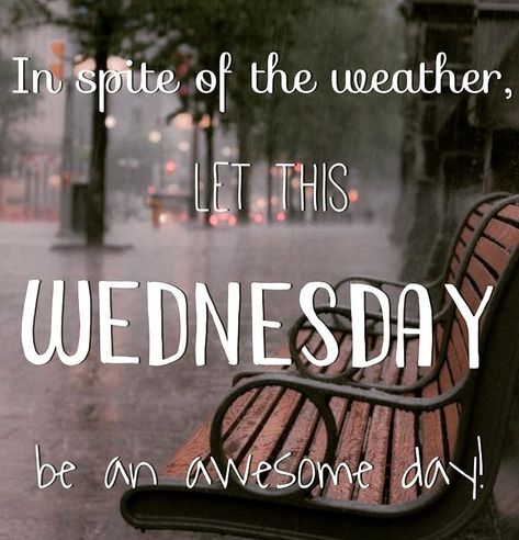 Rainy Weather Quotes, Rainy Morning Quotes, Tuesday Morning Wishes, Wednesday Morning Images, Cold Weather Quotes, Wednesday Morning Greetings, Good Morning Rainy Day, Wednesday Morning Quotes, Happy Tuesday Morning