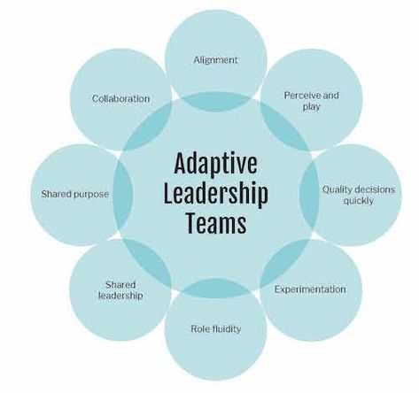 Adaptive leadership teams - alignment, perceive and play - The Digital Transformation People Adaptive Leadership, Digital Transformation Business, Business Leadership Management, Leadership Workshop, Leadership Models, Leadership Advice, Leadership Motivation, Leadership Inspiration, Talent Development