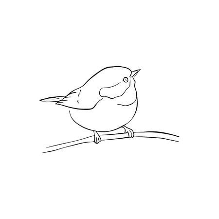 Bird Line Art Illustration, Bird In A Tree Drawing, Birds Line Drawing, Sparrow Drawing Simple, Bird On Branch Drawing, Small Bird Drawing, Little Bird Drawing, Tree Branch Sketch, Tato Idea