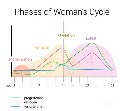 Luteal Phase Training & Nutrition — EAT RUN LIFT Luteal Phase, Eat And Run, Low Estrogen Symptoms, Hormonal Health, Moon Energy, Progesterone Levels, Healthy Hormones, Moon Cycle, Menstrual Health