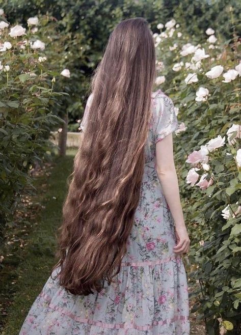 Extremely Long Hair, Long Hair Pictures, Really Long Hair, Long Brown Hair, Super Long Hair, Long Wavy Hair, Very Long Hair, Long Hair Girl, Beautiful Long Hair