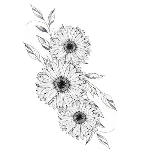 Gerber Daisy Bouquet Tattoo, Gerbera Daisy Tattoo Black And White, Gerbera Flower Tattoo, Gerber Tattoo, Gerbera Daisy Drawing, Gerbera Flower Drawing, Gerber Daisy Tattoo, Gerbera Daisy Tattoo, Black And White Flower Tattoo