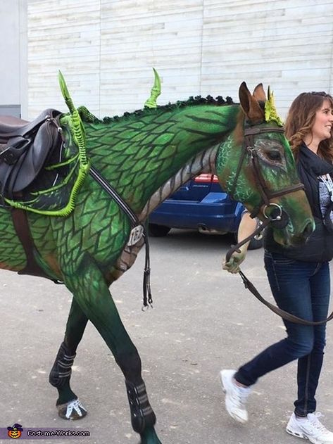 My horse, Cintaura is wearing the costume. We had a body painter take on a horse as her subject. As big Game of thrones fans, we wanted Cintaura to be Drogon from game of thrones. She had to jump a 1.10M course in costume, so... Photo 2 of 4. Dragon Halloween Costume, Horse Halloween Costumes, Dragon Halloween, Dragon Horse, Horse Costumes, Dragon Costume, My Horse, Game Of Thrones Fans, Halloween Costume Contest