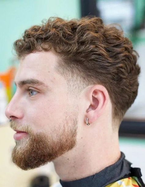 Low Temp Fade Curly Hair, Curly Hair Men Fade Haircut Styles, Cropped Wavy Hair, Professional Curly Hair Men, Curly Hair Men Round Face, Short Curly Haircuts Men Thick Hair, Curly Hair Male Haircut, Short Curly Hairstyle Men, Haircut For Men With Curly Hair