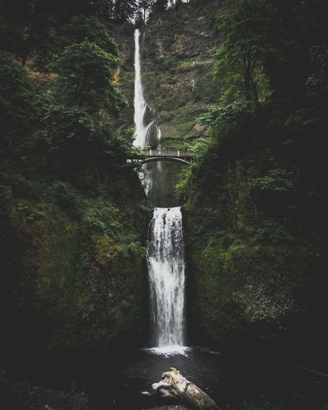 Weekend In Portland, Waterfall Wallpaper, Water Island, Bridge Photography, Multnomah Falls, Fall Background, Water Resources, Boxing Day, Wallpaper Pictures