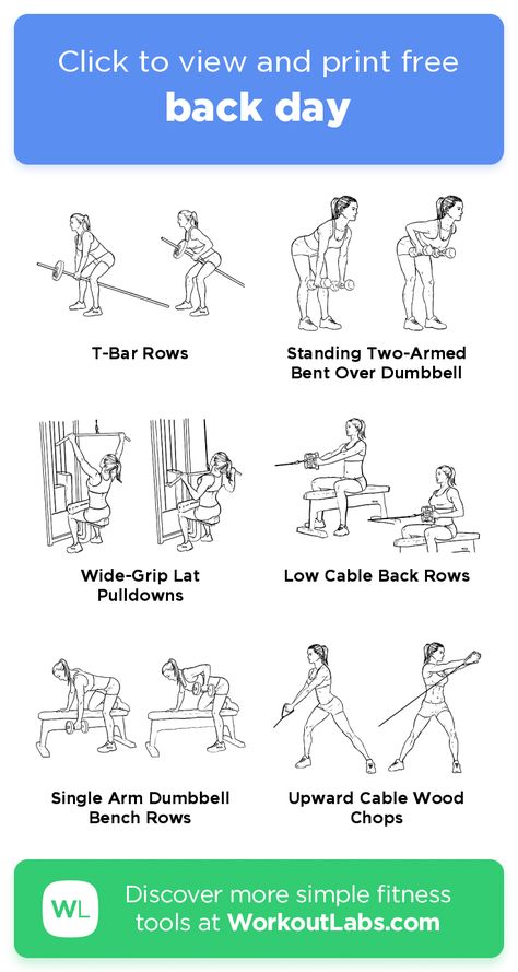 back day – click to view and print this illustrated exercise plan created with #WorkoutLabsFit Planet Fitness Workout Plan, Pull Exercises, Tracey Anderson, Push Day Workout, Bike Workouts, Gym Plans, Workout Chest, Back Day Workout, Workout Labs