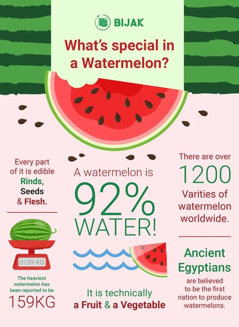 Watermelon Day Activities, Watermelon Facts, Watermelon Poster, Types Of Watermelon, Watermelon Varieties, Watermelon Diy, Watermelon Festival, How To Grow Watermelon, Watermelon Crafts