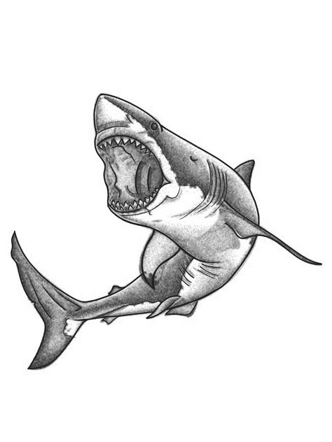 Shark Tattoo Design Drawings, Shark Tattoo Men, Mako Shark Tattoo, Great White Shark Tattoo, Shark Tattoo Design, Hai Tattoo, Cartoon Tattoo Ideas, Word Tattoo Ideas, Trident Tattoo