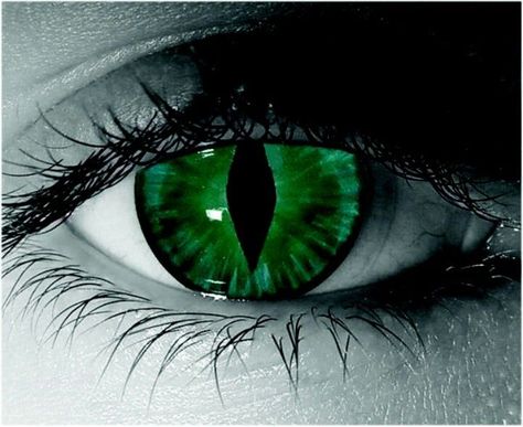 Cat eye Cat Eye Contacts, Colored Eye Contacts, Eye Contact Lenses, Halloween Contact Lenses, Demon Eyes, Eyes Artwork, Slytherin Aesthetic, Magic Eyes, Aesthetic Eyes