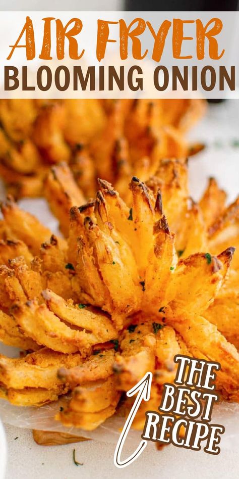 This Air Fryer Blooming Onion is one of my favorite things to make in my air fryer. Blooming Onion In Air Fryer, Onion In Air Fryer, Air Fryer Blooming Onion Recipe, Air Fryer Blooming Onion, Blooming Onion Recipe, Blooming Onions, Blooming Onion Recipes, Homemade Horseradish, Restaurant Appetizers