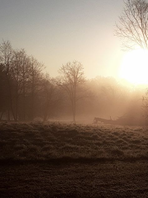 Mist, Sunrise, Color Filter Morning Mist, Misty Morning, Foggy Sunrise Aesthetic, Misty Spring Morning, Autumn Mist Foggy Morning, Color Filter, Sunny Days, Beautiful Photo, Fall Winter