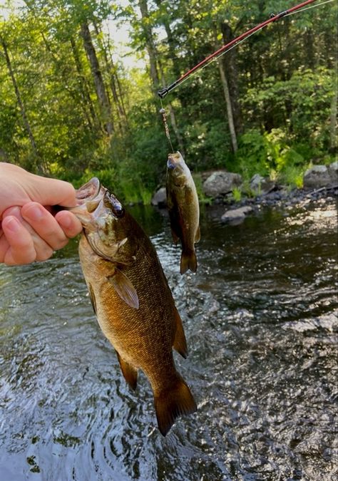 fishing evolution shirt Fishing Salt Water, Summer Fishing Aesthetic, Fishing Aesthetic, Fishing In Alaska, Exit Interview, Ranch Water, Honey Granola, Summer Fishing, Cowboy Aesthetic