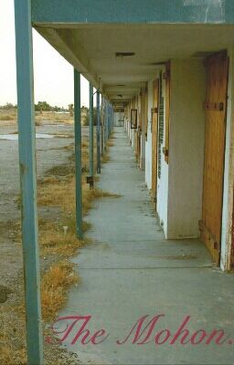 You should read "The Mohon" on #Wattpad. #Horror Abandoned Motel, Abandoned Hotels, Abandoned Property, Salton Sea, Universal Studios Hollywood, Hotel Motel, Haunted Places, Abandoned Buildings, Old Buildings