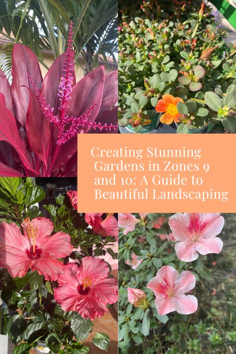 Experience the beauty and vibrant colors of Zone 9 and 10 South Florida gardens with our step-by-step guide! Discover unique plants, irresistible blooms, and expert tips that will transform your garden into a tropical paradise you can be proud of. Don't miss out on this amazing journey! Colorful Florida Landscaping, Zone 11 Landscaping, Zone 10b Landscaping, Zone 9 Landscaping Florida Full Sun, Full Sun Tropical Plants Landscapes, Tropical Landscaping Front Yard Florida Garden Ideas, Zone 9b Landscaping, Florida Gardens Landscaping, Zone 9b Plants