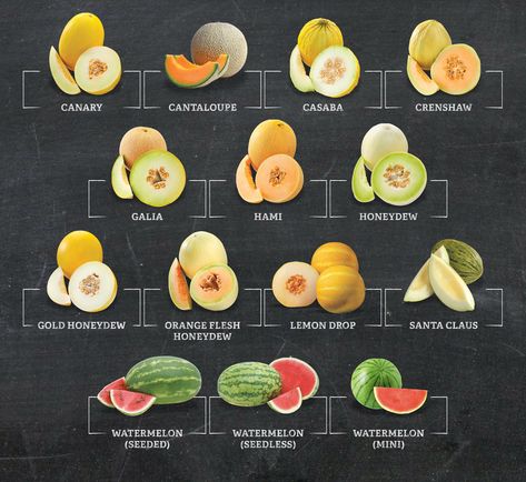 Types Of Melons, Fruits And Vegetables List, Vegetable Chart, Easy Breakfast Smoothies, Watermelon Nutrition Facts, Flat Belly Foods, Fruit Names, Food Infographic, Sprouts Farmers Market