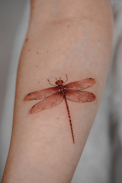 Delicate color dragonfly tattoo by @miruna.tattooist Orange Dragonfly Tattoo, Dragon Fly Tattoo Color, Dragonfly Color Tattoo, Colored Dragonfly Tattoo, Colorful Dragonfly Tattoo, Realistic Dragonfly Tattoo, Dragonfly Tattoo Color, Red Dragonfly Tattoo, Moths Art