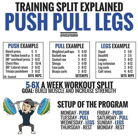 Leg Workout Split, Workouts Splits, Push Pull Workout Routine, Push Pull Legs Routine, Push Pull Legs Workout, Leg Workout Plan, Push Pull Workout, Workout Split, Leg Routine