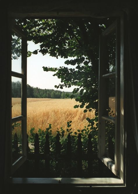 An Open Window, Nature Architecture, Affinity Photo, Window View, Open Window, Through The Window, Summer Set, Pretty Places, Narnia