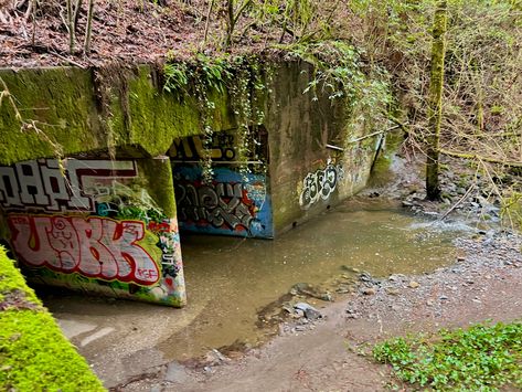 Creek Swimming Aesthetic, Craig Of The Creek Aesthetic, Life Is Strange Aesthetic, Train Hopping, Creek Aesthetic, Abby Core, Dystopian City, Creek Photography, Zombie Boy