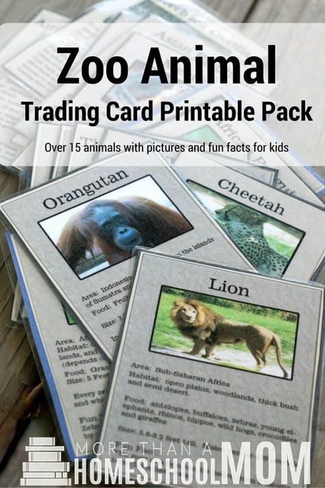 FREE Zoo Animal Trading Card Printable Pack Biomes Activities, Homeschool Themes, Homeschool Units, Zoo Activities, Dear Zoo, Zoo Theme, Fun Facts For Kids, Animal Printables, Zoo Birthday