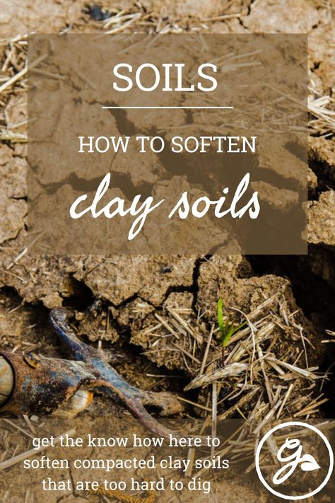 Amending Clay Soil, Folk Crafts, Garden Prepping, Soil Types, Side Yard Landscaping, Gardening Vegetables, Backyard Landscape, How To Make Clay, Soil Testing