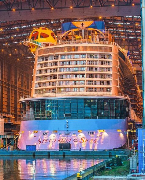 Spectrum Of The Seas Cruise, Spectrum Of The Seas, Odyssey Of The Seas, Royal Carribean Cruise, Carribean Cruise, Anthem Of The Seas, Best Cruise Ships, Cruise Planning, Royal Caribbean Cruise