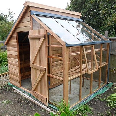 Greenhouse Shed, Backyard Greenhouse, Building A Chicken Coop, Greenhouse Plans, Backyard Chicken Coops, Diy Greenhouse, Building A Shed, Shed Plans, Shed Storage