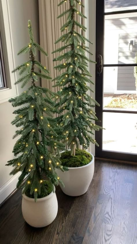 Pre-lit Christmas Tree, Christmas Tree Positioning, Commercial Christmas Decor Ideas, Alpine Christmas Tree Ideas Decor, Christmas Decor Green And White, White And Wood Christmas Decor, Christmas Decor Ideas Color Scheme, Neutral Tree Decor, Green And White Christmas Decor Ideas