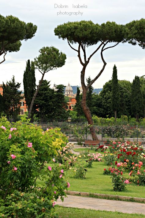 Rose Garden - Rome, Italy. Rome Streets, Rome Photography, Roman Garden, Best Cities In Europe, Visit Rome, Italian Garden, Travel Italy, Rome Travel, Amazing Travel Destinations