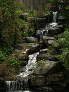 backyard waterfalls and ponds | You can build a small waterfall in your backyard. Backyard Waterfall, Taman Air, Garden Waterfall, Pond Waterfall, Pond Water Features, Backyard Water Feature, Pond Landscaping, Waterfalls Backyard, Small Waterfall