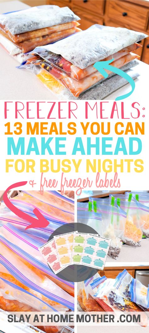 Crockpot Freezer Dump Meals, Freezer Dump Meals, Meals For Busy Nights, Beef Freezer Meals, Crockpot Dump Recipes, Instant Pot Freezer, Chicken Freezer Meals, Mexican Shredded Chicken, Freezer Dinners