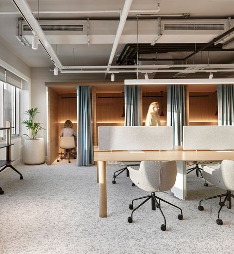 Light Wood Office Design, Scandi Office Space, Scandi Office, California Office, Scandinavian Office, Nordic Office, Neutral Office, Office Fitout, Open Space Office