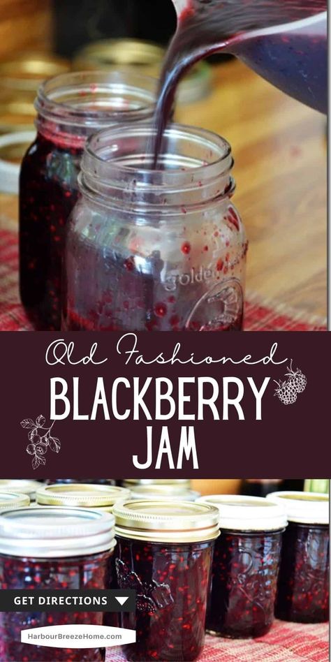 Enjoy the taste of fresh Summer berries all year long with this old fashioned Blackberry jam recipe. This method of jam making is easy and doesn't require any pectin! Just mash, cook, beat, and pour. Huckleberry Jam, Jam Canning, Blackberry Jam Recipes, Jam Making, Easy Jam, Homemade Jams, Food Preserving, Canning Fruit, Blackberry Recipes