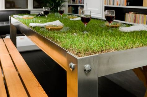 Picnic table! Atelier Decor, Indoor Picnic, Creative Architecture, Have Inspiration, Green Table, Urban Farming, Green Roof, On The Top, Green Living