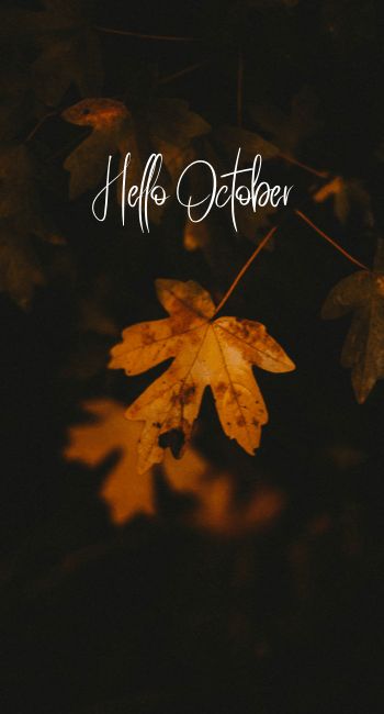 Iphone Wallpaper Hello October Happy October Images, Hello October Wallpapers, Hello October Aesthetic, Hello October Quotes, Welcome October Images, October Background, Hello October Images, Wallpaper October, Cute Fall Backgrounds