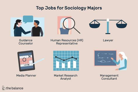 Sociology Degree, Sociology Major, College Information, Best Jobs, Third Grade Science, Career Exploration, Media Planner, Job Search Tips, Online Student