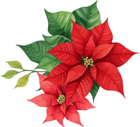 Leaves Bouquet, Flowers With Leaves, Christmas Stock Photos, Christmas Graphic Design, Event Decor Direct, Poinsettia Flowers, Christmas Bouquet, Fabric Painting On Clothes, Red Poinsettia