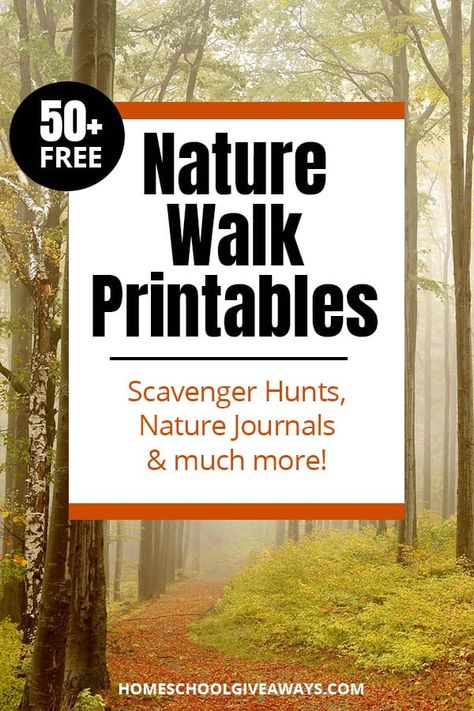 Nature Walk Worksheet, Nature Walk Activities, Nature Journals, Homeschool Nature Study, Nature Hunt, Study Cards, Nature School, Free Nature, Outdoor Education