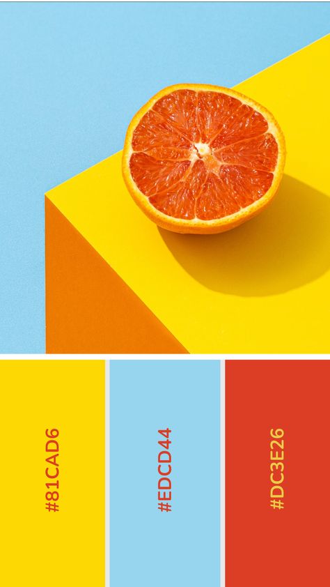 Yellow Palette, Color Design Inspiration, Color Palette Yellow, 타이포그래피 포스터 디자인, Good Color Combinations, Color Palette Bright, Brand Color Palette, Bold Color Palette, Color Palette Design