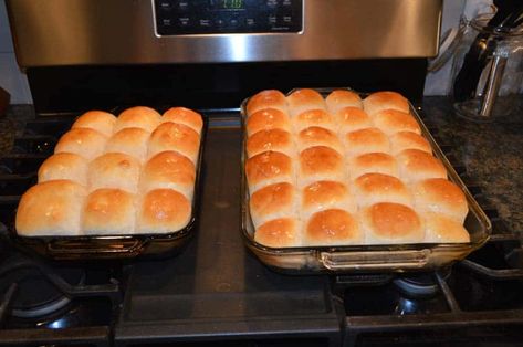 Lunch Lady Dinner Rolls – Old Guy In The Kitchen Lunchroom Recipes, Rolls For Thanksgiving, Thanksgiving Dinner Sides, Rolls Dinner, School Pizza, Thanksgiving Rolls, Yeast Rolls Recipe, Baked Items, School Lunch Recipes