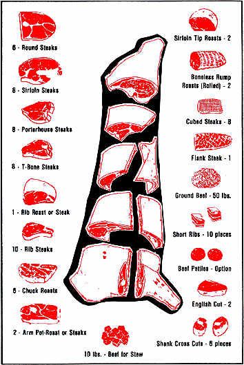 Yield on Beef Carcass - The cuts of beef and their average weights on whole, sides and hind and front quarters of beef. Meat Cuts Chart, Beef Cuts Chart, Meat Butcher, Steak Cuts, Cube Steak, Chelsea Market, How To Cook Beef, Farm Food, Beef Cuts