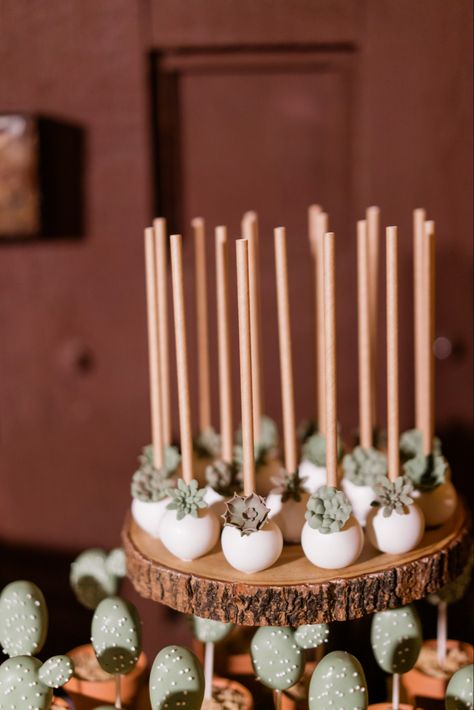 Gala Dessert Table, Rustic Cake Pops Ideas, Rustic Cake Pops, Succulent Cake Pops, Boho Desserts, Boho Dessert Table, Instead Of Wedding Cake, Bachelorette Desserts, Goodies Ideas