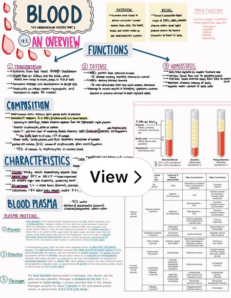 Lemon8 · Blood: Anatomy and Physiology  · @lillywol Physiology Notes Medical Students, Blood Anatomy Notes, Blood Notes Anatomy, Anatomy And Physiology Notes Study Nursing Schools, Blood Anatomy And Physiology, Blood Physiology, Anatomy And Physiology Notes Study, Anatomy And Physiology Notes, Physiology Notes