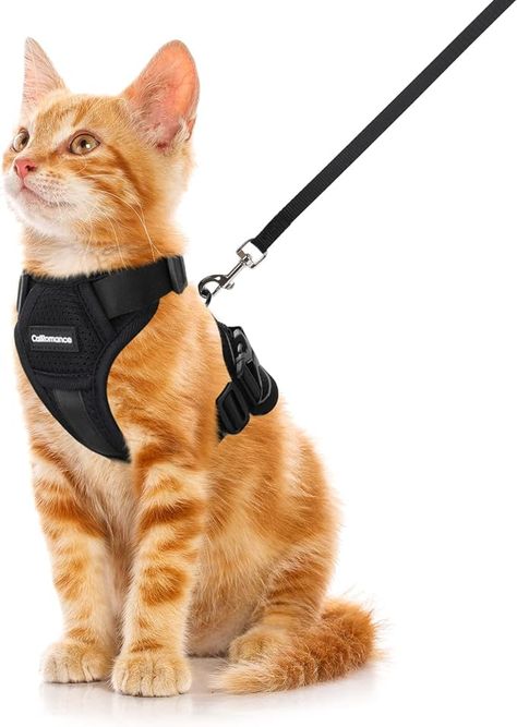 Pet Supplies : CatRomance Cat Harness Escape Proof, Breathable Mesh Cat Walking Harness, Adjustable Cat Harness and Leash Set with Reflective Strips, Kitten Vest Harness with Leash XS Black : Amazon.com Kitten Harness, Cat Harness And Leash, Harness And Leash Set, Walking Harness, Cat Leash, Outdoor Vest, Cat Harness, Small Cat, Large Cats