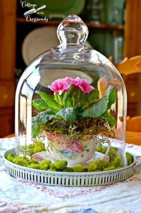 Spring Flower Arrangements Centerpieces, Cloche Decor, Diy Frühling, Teacup Gardens, Spring Flower Arrangements, Spring Centerpiece, Tea Diy, Spring Tablescapes, The Bell Jar