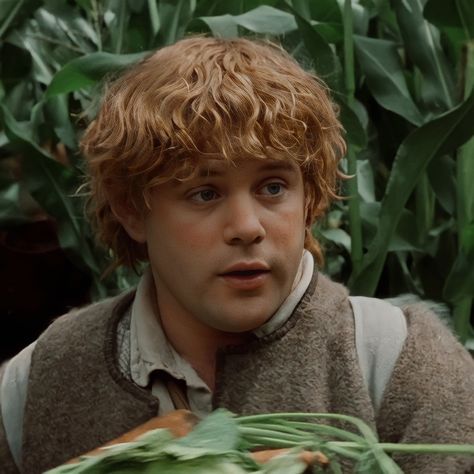 Samwise Aesthetic, Samwise Gamgee Icon, Hobbit Lord Of The Rings, Samwise Gamgee Fanart, Samwise Gamgee Aesthetic, Sam Wise Gamgee, Sam Lord Of The Rings, Lotr Collage, Lotr Pfp