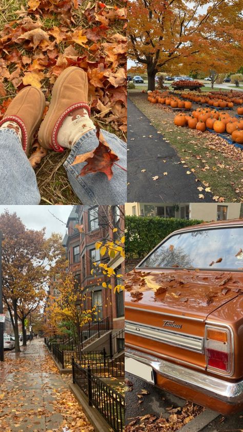 October Fall Aesthetic, Cosy Fall Aesthetic, Fall Inspo Aesthetic, Fall House Aesthetic, Fall Aesthetic Vibes, Fall And Halloween Aesthetic, Fall Asthetic Photos, Fall Vision Board, Fall Halloween Aesthetic